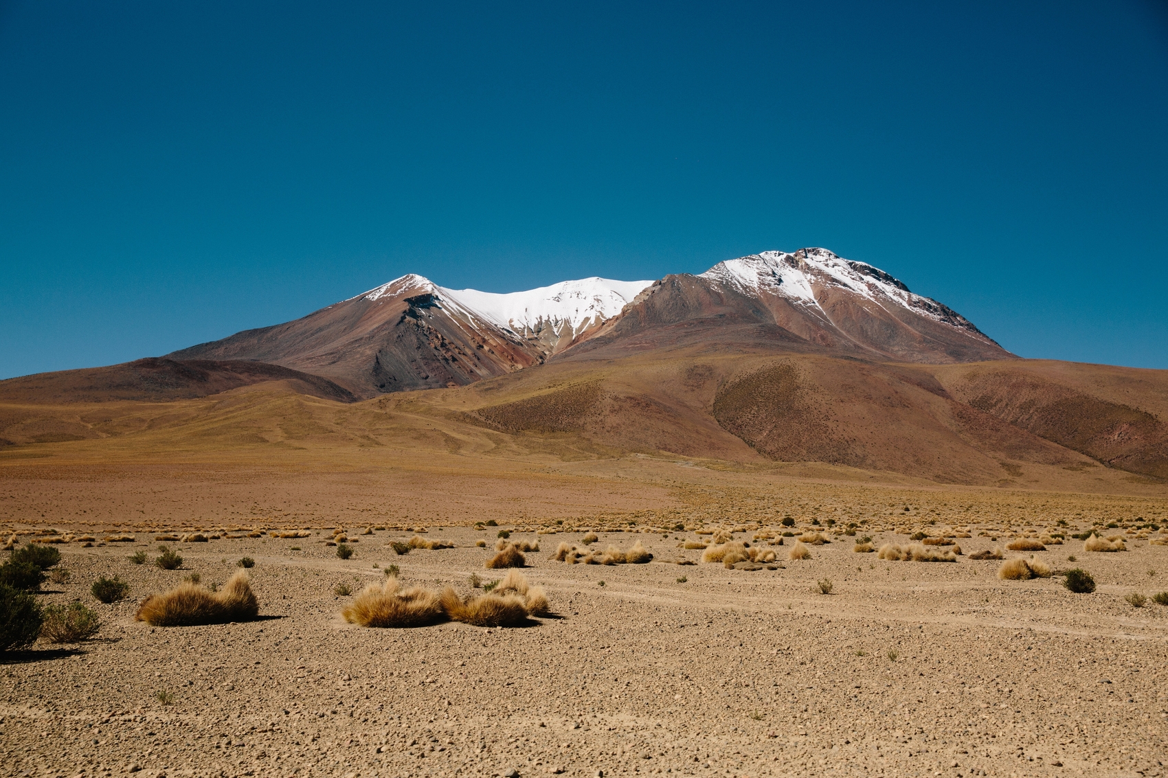 Arid biome